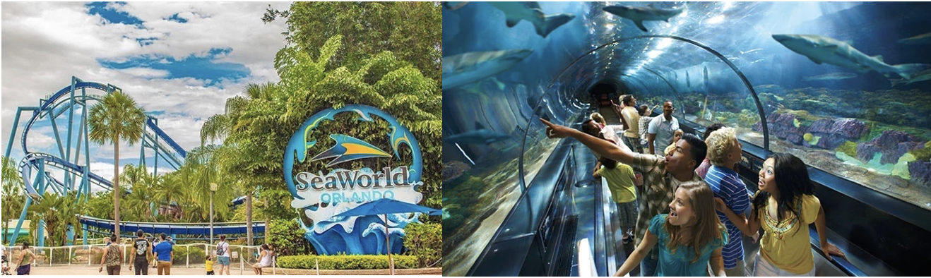 SeaWorld Orlando image 1