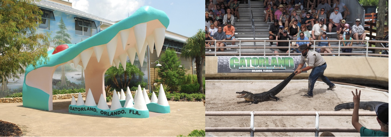 Gatorland image 1