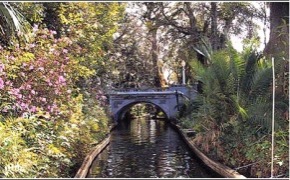 Winter Park Scenic Boat Tour image 2
