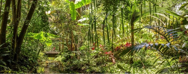 Harry P. Leu Gardens image 1