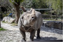 Central Florida Zoo & Botanical Gardens image 2